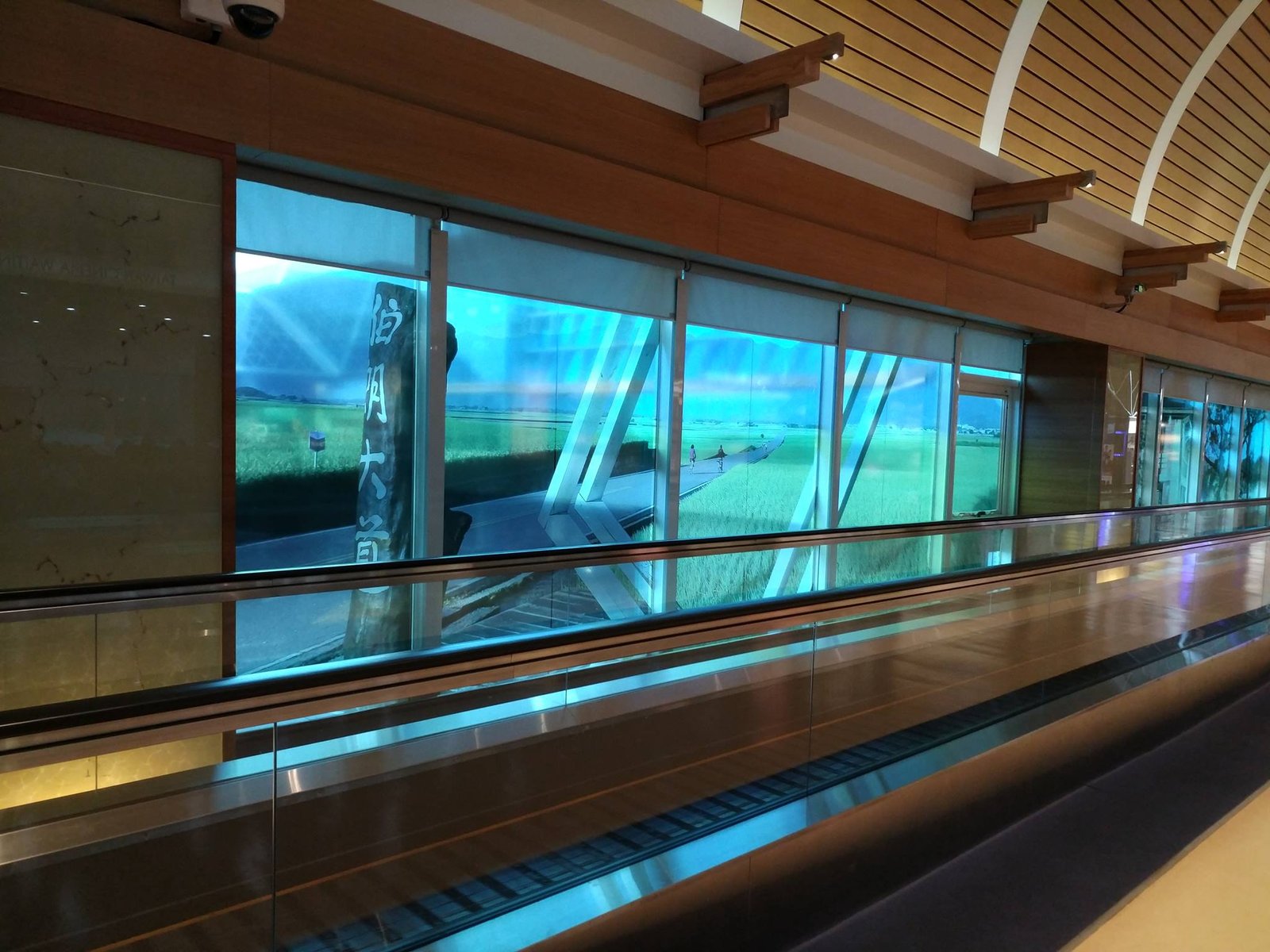 往新加坡推廣 佳芳有機茶!